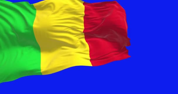 Los Colores Vivos Bandera Malí Ondean Brisa Aislada Sobre Fondo — Vídeo de stock