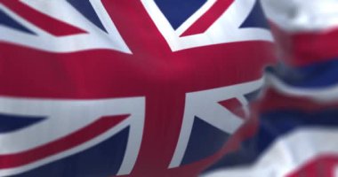 Hawaii eyalet bayrağının rüzgarda dalgalanan yakın çekimi. Sekiz yatay çizgi beyaz, kırmızı, mavi, Union Jack kantonda. Kusursuz 3 boyutlu animasyon. Yavaş çekim döngüsü. Seçici odak