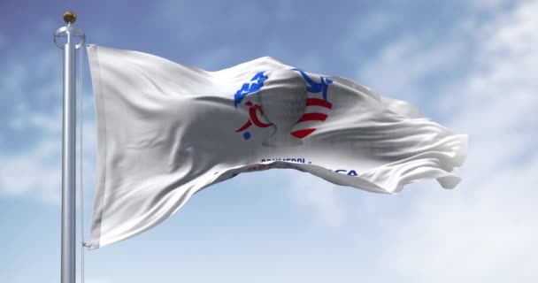 Miami Mar 2024 Copa America 2024 Bendera Mengibarkan Pada Hari — Stok Video