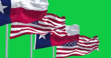 Teksas eyaletinin bayrakları rüzgârda dalgalanırken Amerikan bayrakları yeşil arka planda izole edildi. Kusursuz 3D canlandırma animasyonu. Krom anahtar. Yavaş çekim döngüsü. Yeşil ekran. 4 bin. Seçici odak.