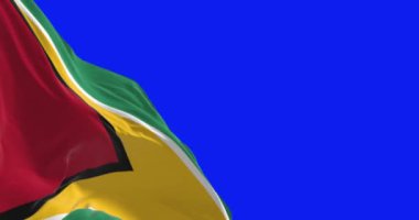 Mavi arka planda Guyana ulusal bayrağının dalgalanma görüntüsü var. Kusursuz 3D canlandırma animasyonu. Krom anahtar. Yavaş çekim döngüsü. Yeşil ekran. 4 bin. Seçici odak.