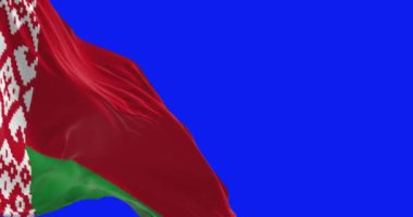 Beyaz Rusya ulusal bayrağının yakın çekimi mavi arka planda izole edildi. Kusursuz 3D canlandırma animasyonu. Krom anahtar. Yavaş çekim döngüsü. Yeşil ekran. 4 bin. Seçici odak.