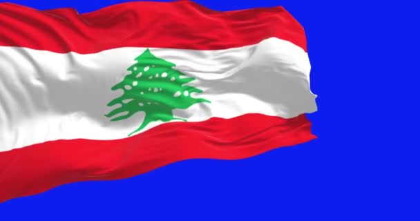 Національний Прапор Лівану Махав Вітром Ізольовано Синьому Фоні Безшовна Анімація — стокове відео