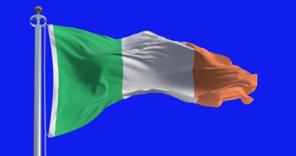 アイルランドの国旗は 青い背景で孤立した風を振ります シームレス3Dレンダリングアニメーション クロマキー スローモーションループ ブルースクリーン 4Kについて 選択的なフォーカス — ストック動画