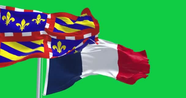 Över Bourgogne Flaggan Viftar Vinden Isolerad Grön Bakgrund Sömlös Rendering — Stockvideo