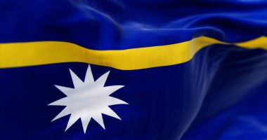 Nauru ulusal bayrağının rüzgarda dalgalanmasına yakın çekim. Central Pacific 'teki Mikronezya' da bir ada ülkesi. 3D illüstrasyon canlandırıcı. Dalgalanan kumaş. Seçici odak