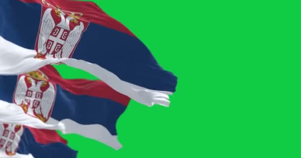 セルビアの国旗は緑の背景で孤立した シームレス3Dレンダリングアニメーション グリーン スクリーン クロマキー アルファチャンネル スローモーションループ 4Kについて 選択的なフォーカス — ストック動画