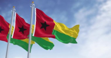 Açık bir günde Gine-Bissau 'nun ulusal bayrakları dalgalanıyor. Dikey kırmızı çizgi, siyah yıldız sol, sarı ve yeşil yatay çizgiler sağ. Kusursuz 3 boyutlu animasyon. Yavaş çekim döngüsü. Seçici odak