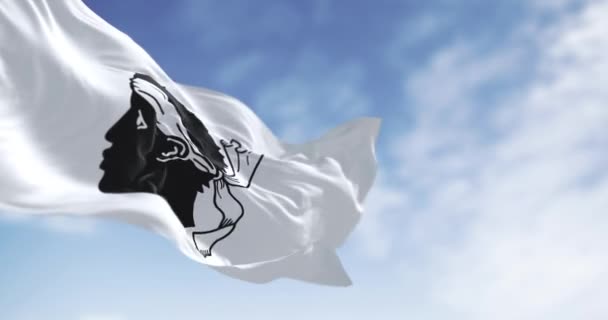 晴れた日の風に揺れるコルシカの旗 白いフィールドに白いバンダナが付いている黒いムーアの頭 フランス領 シームレス3Dレンダリングアニメーション スローモーションループ 選択的なフォーカス — ストック動画