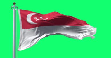 Singapur ulusal bayrağı yeşil arka planda yalıtılmış rüzgarda dalgalanıyor. Kusursuz 3D canlandırma animasyonu. Krom anahtar. Yavaş çekim döngüsü. Yeşil ekran. 4 bin. Seçici odak.