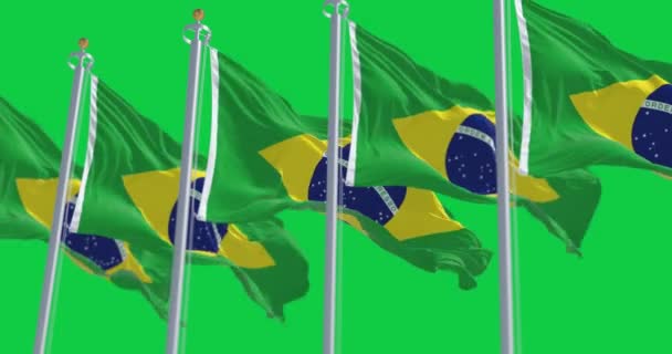 一群巴西国旗在绿色背景下飘扬 无缝3D渲染动画 绿色屏幕 阿尔法频道慢动作回圈4K 有选择的重点 — 图库视频影像