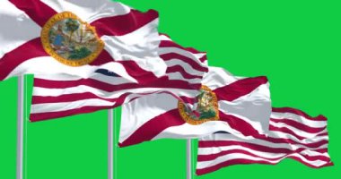 Florida ve Amerika Birleşik Devletleri bayrakları yeşil arka planda yalıtılmış bir şekilde rüzgarda dalgalanıyor. Kusursuz 3D canlandırma animasyonu. Yeşil ekran. Krom anahtar. Alfa kanalı. Yavaş çekim döngüsü. 4 bin. Seçici odak