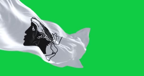 Флаг Корсики Размахивая Ветру Изолированы Зеленом Фоне Бесшовная Анимация Хрома — стоковое видео