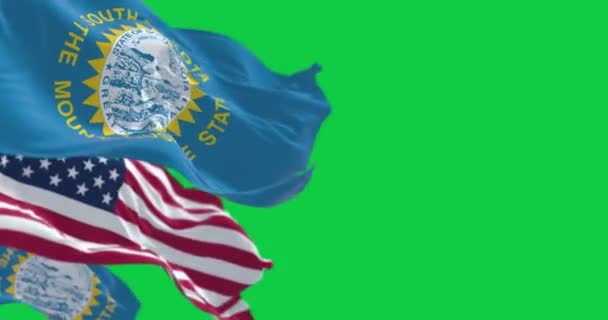 Flaggen Von South Dakota Und Den Usa Wehen Isoliert Auf — Stockvideo