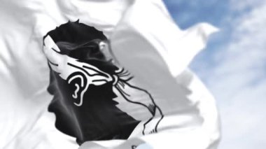 Korsika bayrağı açık havada rüzgarda dalgalanıyor. Siyah Mağribi 'nin başı beyaz bir tarlada beyaz bir bandana ile. Fransız bölgesi. Kusursuz 3 boyutlu animasyon. Yavaş çekim döngüsü. Seçici odak