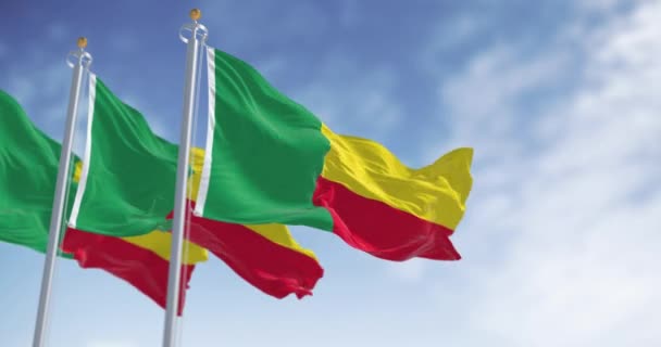 Tiga Bendera Nasional Benin Melambai Dua Pita Kuning Dan Merah — Stok Video