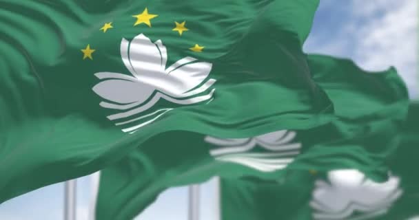 Detailní Záběr Vlajky Macau Mávající Jasného Dne Zelená Plocha Lotosový — Stock video