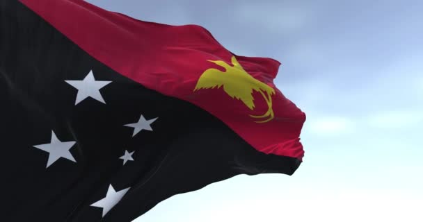 Detalj Den Nationella Flaggan Papua Nya Guinea Vinka Vinden Klar — Stockvideo