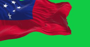 Bağımsız Samoa Eyaleti 'nin ulusal bayrağı yeşil arka planda izole bir şekilde dalgalanıyor. Kusursuz 3D canlandırma animasyonu. Krom anahtar. Yavaş çekim döngüsü. Yeşil ekran. 4K