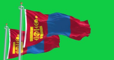 Yeşil arka planda izole edilmiş Moğolistan bayrakları sallanıyor. Kusursuz 3D canlandırma animasyonu. Krom anahtar. Yavaş çekim döngüsü. Yeşil ekran. 4K