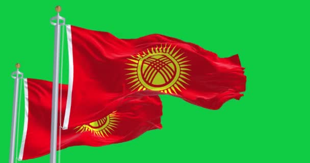 Kirgisische Nationalflaggen Wehen Vereinzelt Auf Grünem Hintergrund Nahtlose Renderanimation Chroma — Stockvideo