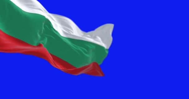 Närbild Bulgarien Nationella Flagga Viftar Isolerad Blå Bakgrund Sömlös Rendering — Stockvideo