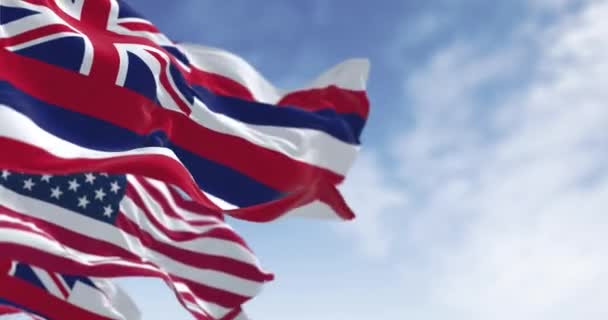 Hawaii State Flag Waving National Flag United States America Clear — Stock video