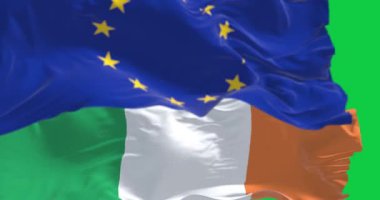 Yeşil arka planda izole edilmiş İrlanda ve Avrupa Birliği bayrakları sallanıyor. Kusursuz 3D canlandırma animasyonu. Yeşil ekran. Krom anahtar. Alfa kanalı. Yavaş çekim döngüsü. 4 bin. Seçici odak