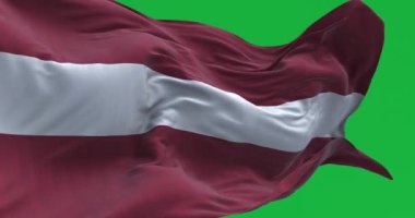 Yeşil zemin üzerinde izole edilmiş rüzgarda dalgalanan Letonya ulusal bayrağının yakın çekim görüntüsü. Kusursuz 3D canlandırma animasyonu. Krom anahtar. Yavaş çekim döngüsü. Yeşil ekran. 4K
