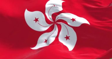 Yeşil arka planda Hong Kong bayrağının dalgalanması. Kusursuz 3D canlandırma animasyonu. Krom anahtar. Yavaş çekim döngüsü. Yeşil ekran. 4 bin. Seçici odak