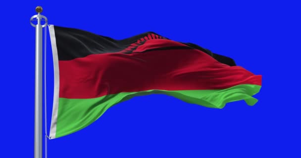 Bandeira Nacional Malawi Acenando Isolada Fundo Azul Animação Renderização Sem — Vídeo de Stock