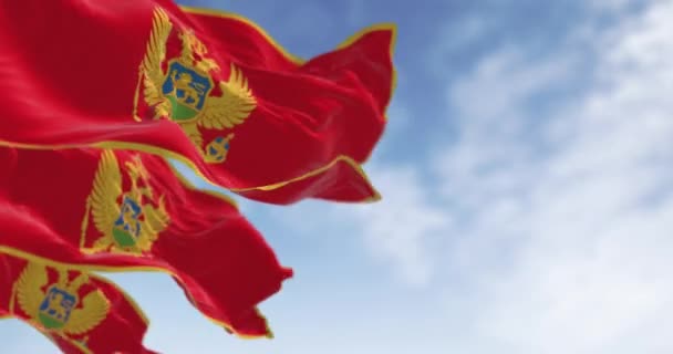 National Flags Montenegro Waving Clear Day Red Golden Border Features — Vídeo de Stock