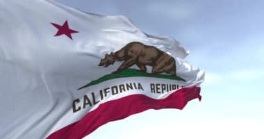Açık bir günde rüzgarda dalgalanan Kaliforniya bayrağının yakın çekimi. Kaliforniya bayrağı aynı zamanda Ayı Bayrağı 'dır. Kusursuz 3 boyutlu animasyon. Yavaş çekim döngüsü. Seçici odak