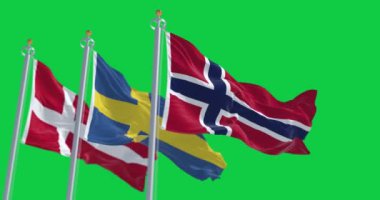 Norveç, İsveç ve Danimarka 'nın ulusal bayrakları yeşil arka planda yalıtılmış bir şekilde rüzgarda dalgalanıyor. Kusursuz 3D canlandırma animasyonu. Krom anahtar. Yavaş çekim döngüsü. Yeşil ekran. 4 bin. Seçici odak