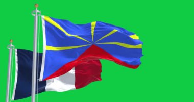 Birleşme ve yeşil arka planda izole edilmiş ulusal Fransız bayrakları sallanıyor. Kusursuz 3D canlandırma animasyonu. Krom anahtar. Yavaş çekim döngüsü. Yeşil ekran. 4 bin. Seçici odak