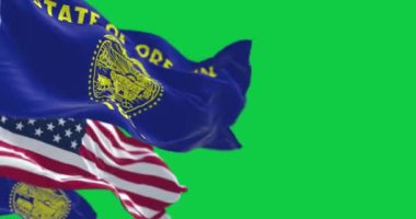 Oregon eyalet bayrağı rüzgarda dalgalanırken Amerikan bayrağı yeşil arka planda izole edildi. Kusursuz 3D canlandırma animasyonu. Krom anahtar. Yavaş çekim döngüsü. Yeşil ekran. 4 bin. Seçici odak