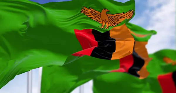 stock image Zambia national flags waving in the wind on a clear day. Green with an orange eagle in flight over a block of three vertical stripes in red, black, and orange. 3d illustration render