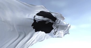 Korsika bayrağı açık havada rüzgarda dalgalanıyor. Siyah Mağribi 'nin başı beyaz bir tarlada beyaz bir bandana ile. Fransız bölgesi. Kusursuz 3 boyutlu animasyon. Yavaş çekim döngüsü. Seçici odak