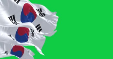 Yeşil arka planda izole edilmiş, rüzgarda dalgalanan Güney Kore ulusal bayraklarının yakın çekimi. Kusursuz 3D canlandırma animasyonu. Krom anahtar. Yavaş çekim döngüsü. Yeşil ekran. 4 bin. Seçici odak