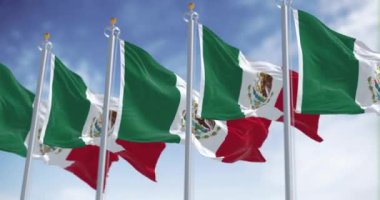 Açık bir günde Meksika bayrakları dalgalanıyor. Üç renkli yeşil, beyaz ve kırmızı. Beyaz çizginin ortasında milli arma var. Kusursuz 3 boyutlu animasyon. Yavaş çekim döngüsü. Seçici odak