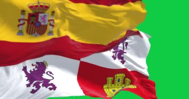 Kastilya, Leon ve yeşil arka planda izole edilmiş ulusal İspanyol bayrakları sallanıyor. Kusursuz 3D canlandırma animasyonu. Krom anahtar. Yavaş çekim döngüsü. Yeşil ekran. 4 bin. Seçici odak