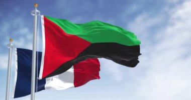 Açık bir günde ulusal Fransız bayrağıyla Martinique bayrağı sallıyor. Martinique, Antiller Adaları 'nda yer alan bir adadır. Kusursuz 3 boyutlu animasyon. Yavaş çekim döngüsü