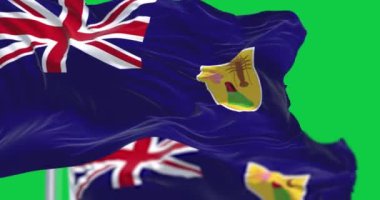 Turks ve Caicos Adaları 'nın bayrakları yeşil zeminde rüzgarda sallanıyor. Kusursuz 3D canlandırma animasyonu. Krom anahtar. Yavaş çekim döngüsü. Yeşil ekran. 4 bin. Seçici odak