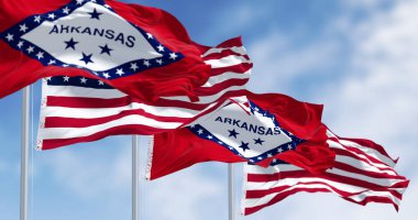 Arkansas state flags waving with the American flags on a clear day. 3d illustration render. Selective focus. Rippling fabric clipart