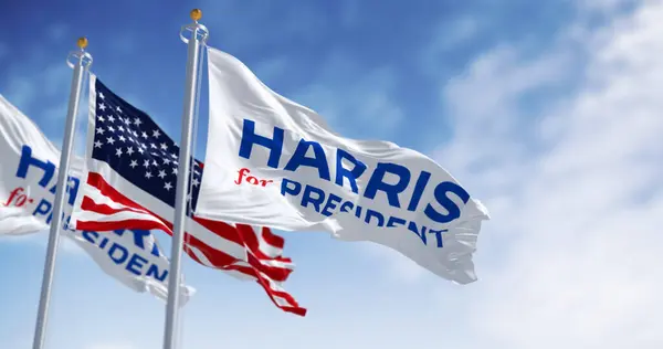 Washington D.C., ABD, 22 Temmuz 2024: Kamala Harris 2024 başkanlık kampanyası bayrağı Amerikan bayrağıyla dalgalanıyor. İllüstrasyon 3d illüstrasyon canlandırması. 2024 ABD başkanlık seçimi