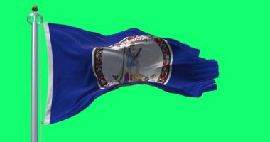 Virginia eyalet bayrağı yeşil arka planda rüzgarda sallanıyor. Kusursuz 3D canlandırma animasyonu. Krom anahtar. Yavaş çekim döngüsü. Yeşil ekran. 4K