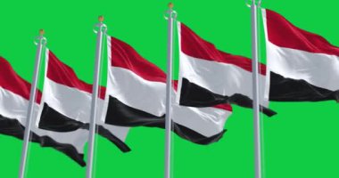 Yeşil arka planda izole edilmiş Yemen ulusal bayrakları sallanıyor. Kusursuz 3D canlandırma animasyonu. Krom anahtar. Yavaş çekim döngüsü. Yeşil ekran. 4 bin. Seçici odak