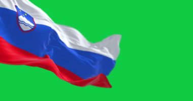 Slovenya ulusal bayrağının rüzgarda dalgalanan yakın çekimi yeşil arka planda izole edildi. Kusursuz 3D canlandırma animasyonu. Krom anahtar. Yavaş çekim döngüsü. Yeşil ekran. 4 bin. Seçici odak