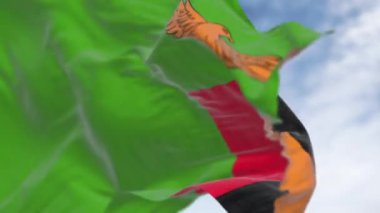 Zambiya ulusal bayrağının rüzgarda dalgalandığı yakın çekim. Kusursuz 3 boyutlu animasyon. Yavaş çekim döngüsü. Seçici odak