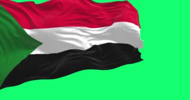 Sudan ulusal bayrağı yeşil arka planda yalıtılmış rüzgarda dalgalanıyor. Kusursuz 3D canlandırma animasyonu. Krom anahtar. Yavaş çekim döngüsü. Yeşil ekran. 4K